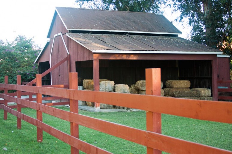 A Barn with hay and horse corral at Paddison Farm